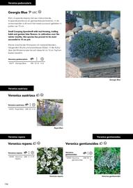 Hörnhems handelsträdgård reklamblad Sida 498
