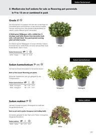 Hörnhems handelsträdgård reklamblad Sida 555