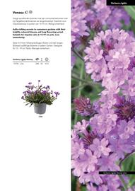 Hörnhems handelsträdgård reklamblad Sida 569