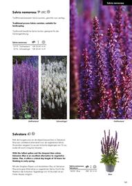 Hörnhems handelsträdgård reklamblad Sida 613