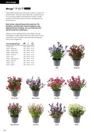 Hörnhems handelsträdgård reklamblad Sida 614