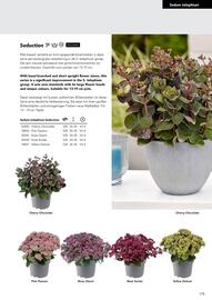 Hörnhems handelsträdgård reklamblad Sida 627