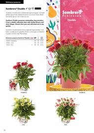 Hörnhems handelsträdgård reklamblad Sida 76