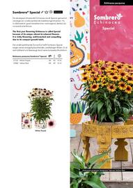 Hörnhems handelsträdgård reklamblad Sida 77
