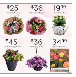 Freson Bros flyer week 19 Page 3