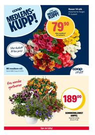 Coop Extra Kundeavis uke 19 Side 25