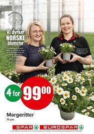 Spar Kundeavis uke 19 Side 12