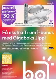 Gigaboks Kundeavis uke 19 Side 8