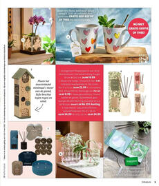 Intratuin folder week 19 Pagina 5