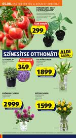 ALDI akciós újság hét 19 Oldal 26