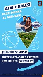 ALDI akciós újság hét 19 Oldal 47