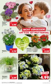 Kaufland DE folder week 19 Pagina 25