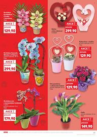 Kaufland leták týden 19 Strana 29