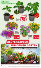 Kaufland Prospekt woche 19 Seite 24