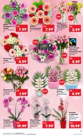 Kaufland Prospekt woche 19 Seite 3