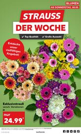Kaufland Prospekt woche 19 Seite 55