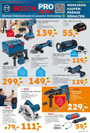 Globus Baumarkt Prospekt Seite 17