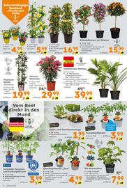 Globus Baumarkt Prospekt Seite 6