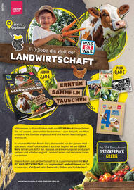 Marktkauf Prospekt Seite 18