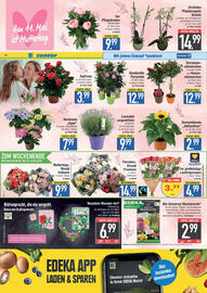 E-Center Prospekt Seite 12
