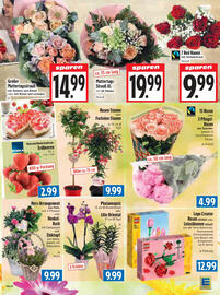 EDEKA Hahner Prospekt Seite 11