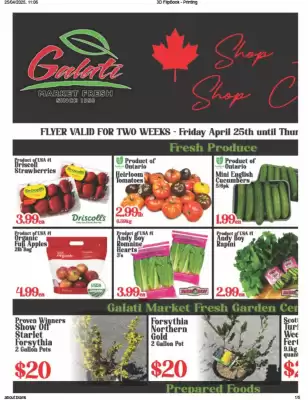 Galati Market Fresh flyer (valid until 8-06)