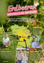 EDEKA Berger Prospekt woche 19 Seite 8