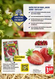 EDEKA Berger Prospekt woche 19 Seite 9