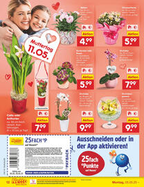 Netto Marken-Discount DE folder week 19 Pagina 14