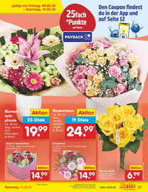 Netto Marken-Discount DE folder week 19 Pagina 63