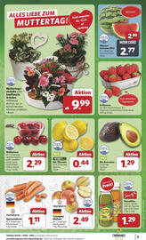Combi Prospekt woche 19 Seite 3