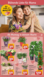 REWE Kaufpark Prospekt woche 19 Seite 16