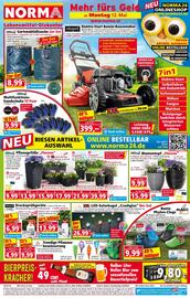 Norma Flugblatt woche 20 Seite 1