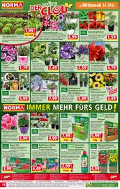 Norma Flugblatt woche 20 Seite 14