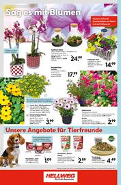 Hellweg Prospekt woche 19 Seite 24