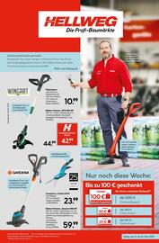 Hellweg Prospekt woche 19 Seite 3
