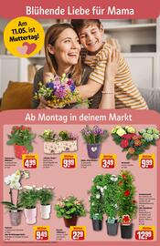 REWE Center Prospekt woche 19 Seite 6
