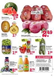 Scheck-in-Center Prospekt woche 19 Seite 17