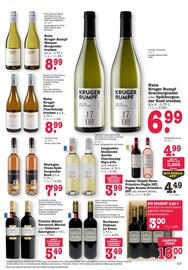 Scheck-in-Center Prospekt woche 19 Seite 31