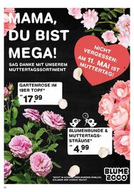 Scheck-in-Center Prospekt woche 19 Seite 6