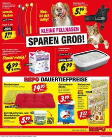 Repo Markt Prospekt woche 19 Seite 15