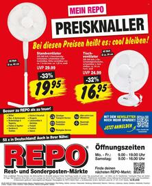 Repo Markt Prospekt woche 19 Seite 20