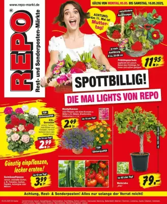 Repo Markt Prospekt (gültig bis 10-05)