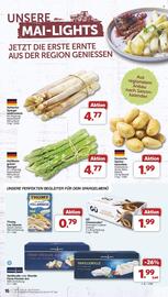 Famila Nord Ost Prospekt woche 19 Seite 18