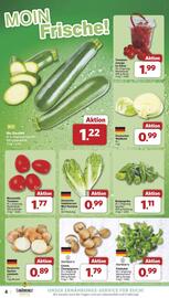 Famila Nord Ost Prospekt woche 19 Seite 4