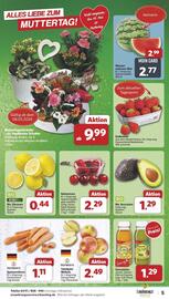 Famila Nord Ost Prospekt woche 19 Seite 5