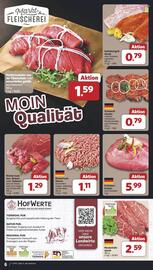 Famila Nord Ost Prospekt woche 19 Seite 6