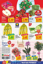 NP Discount Prospekt woche 19 Seite 4
