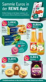 REWE PETZ Prospekt woche 19 Seite 2