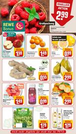 REWE PETZ Prospekt woche 19 Seite 8